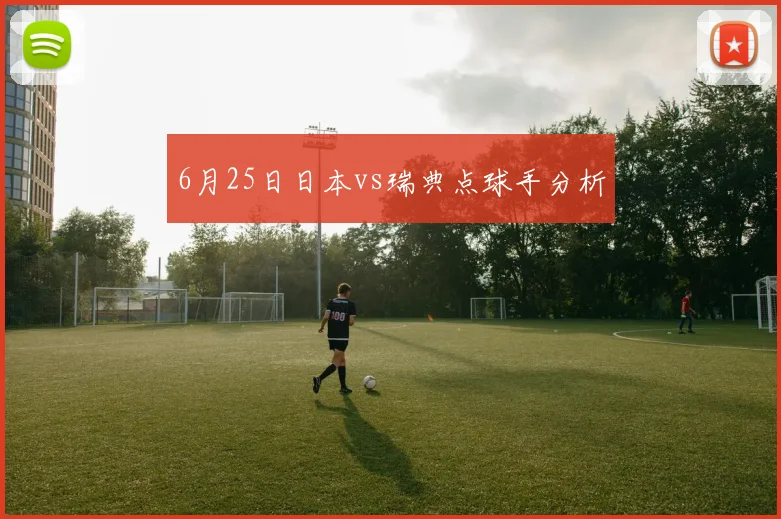 6月25日日本vs瑞典点球手分析