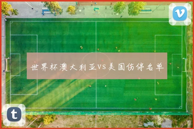 世界杯澳大利亚vs美国伤停名单
